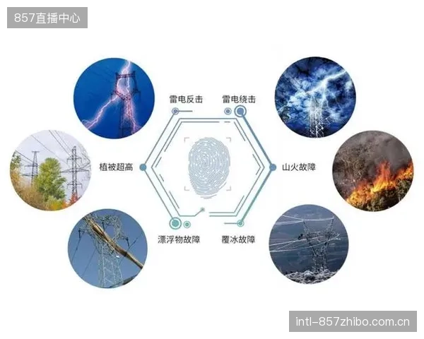 运维团队的福音：引入改性绝缘层电缆后，某顶级赛事转播的信号故障报告率骤降80%